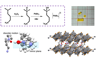 Phase transition arising from order-disorder motion in stable layered two-dimensional perovskite 2024.100426